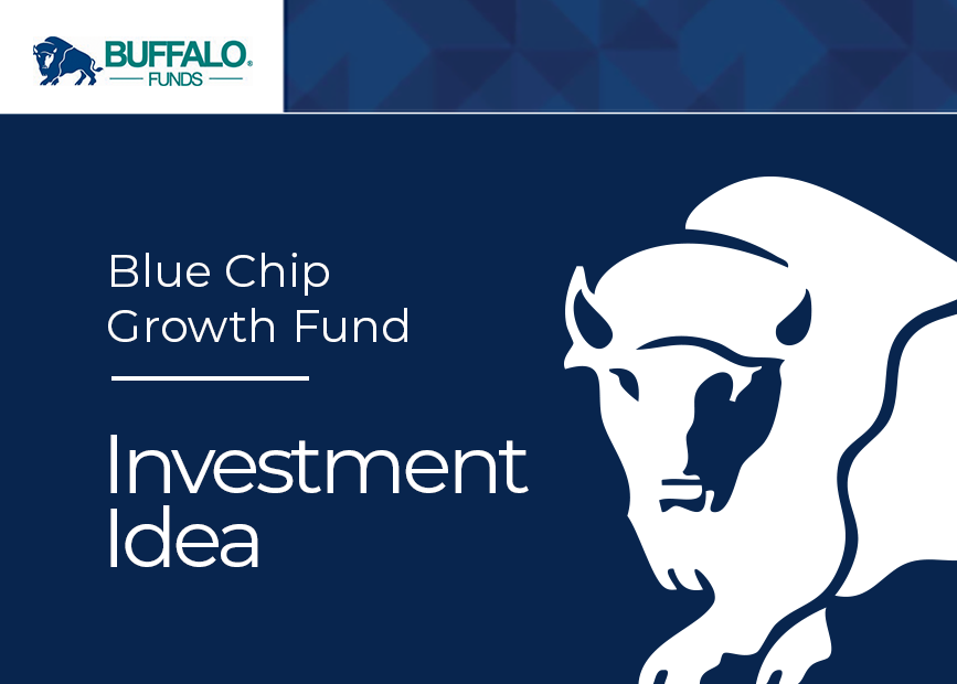 blue-chip-invidea Blue Chip Growth Fund - Investment Idea