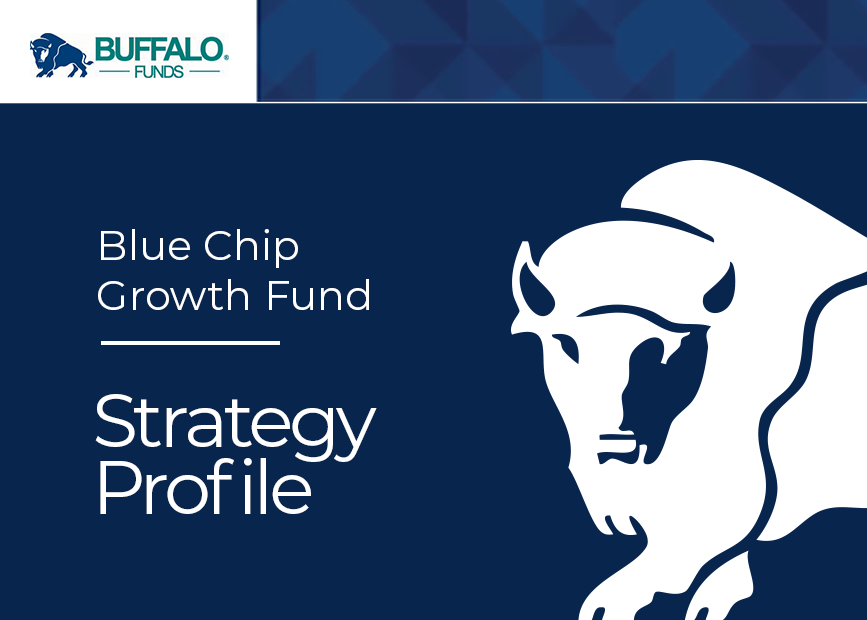 blue-chip-stratpro Blue Chip Growth Fund - Strategy Profile